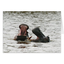 Hippos fooling around. cards by pshaw_photo Hippos fooling around. cards