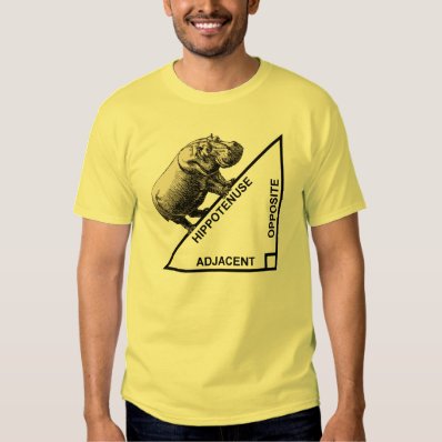 Hippotenuse Hypotenuse Funny Math Geometry T-Shirt
