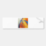 Hippy! Bumper Stickers