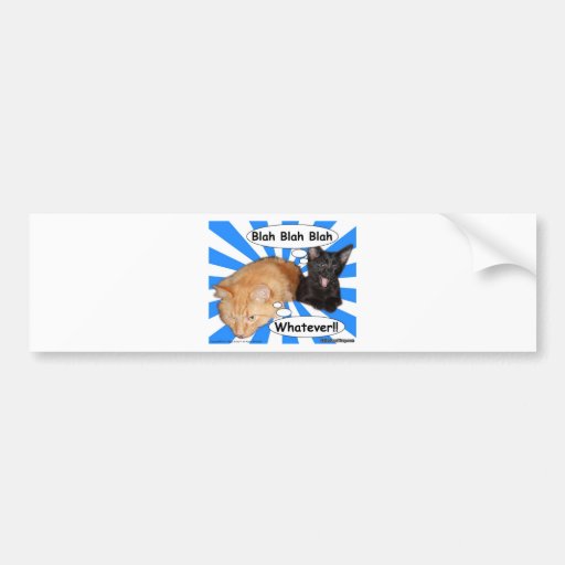 Hippy Kitty Blah Blah Blah Whatever!! Bumper Sticker | Zazzle
