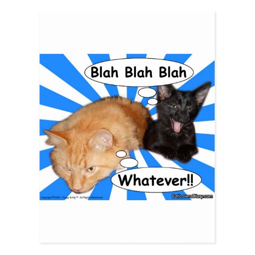 Hippy Kitty Blah Blah Blah Whatever!! Postcard | Zazzle