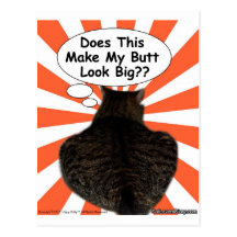 Hippy Kitty Does This Make My Butt Look Big?? Postcards