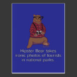 Hipster Bear Postcard postcards