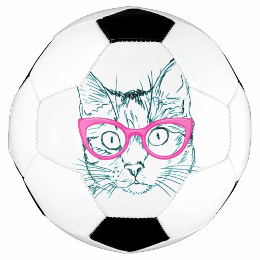 cat soccer ball