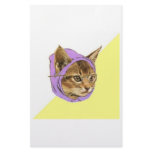 Hipster Kitty Cat Advice Animal Meme Stationery