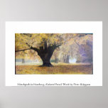 Hirschpark in Hamburg Print