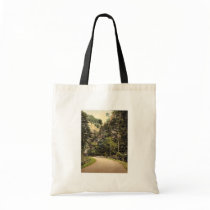 Hirschsprung, Black Forest, Baden, Germany classic Canvas Bag