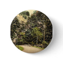 Hirschsprung, Black Forest, Baden, Germany classic Buttons