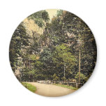 Hirschsprung, Black Forest, Baden, Germany classic Fridge Magnet