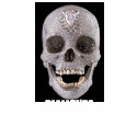 hirstskull_546x800, DIAMONDZ & SKULLZ t-shirts