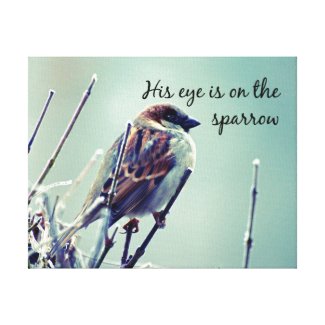 His eye is on the sparrow