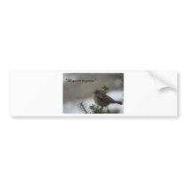 "His eye is on the sparrow" bumper stickers