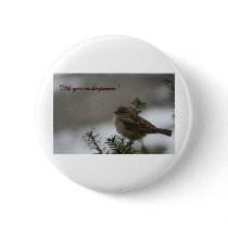 "His eye is on the sparrow" buttons