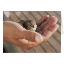 His eye is on the sparrow Christian Greeting Card