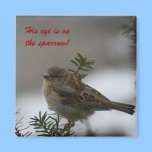 His eye is on the sparrow!  Magnet magnets