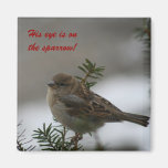 His eye is on the sparrow!  Magnet