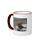 "His eye is on the sparrow" Coffee Mugs