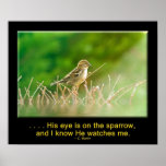 His Eye is on the Sparrow -POSTER