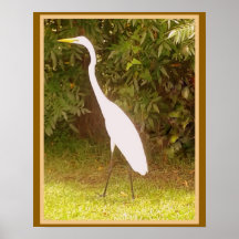 His hobby is birdwatching. posters
