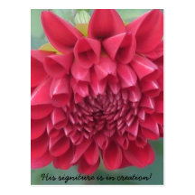 His signiture is in Creation! Postcards