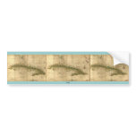 Historic 1639 Map of Cuba by Joan Vinckeboons Bumper Stickers