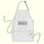 Historic 1855-1857 Travellers Map of Long Island aprons