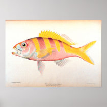 Historic Fisheries Print