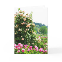 Historical Rose Garden cards