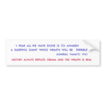 HISTORY bumper stickers