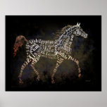 History of the Arabian Horse Poster