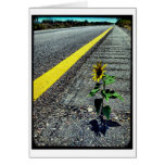 Hitchhiker cards