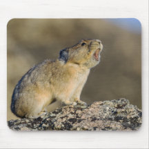 Hitting the High Note! Mousepads