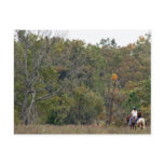 Hitting The Trail Post Cards