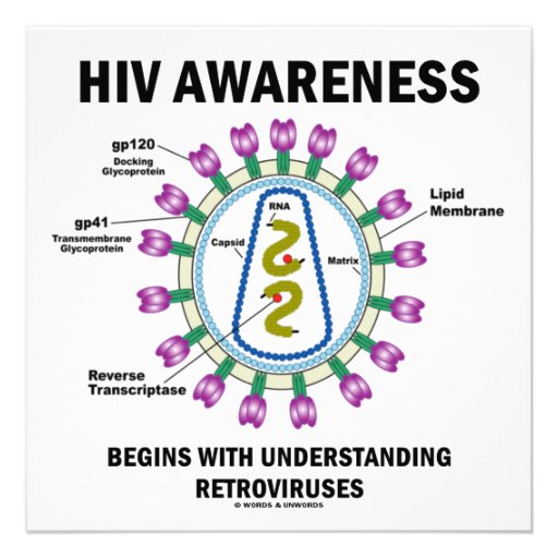 Hiv Retrovirus