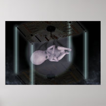 Hive Species 731.2-506.2 Print