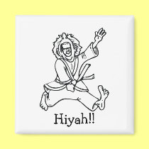 Hiyah!! magnets