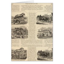 HL Emory and Sons Cards