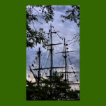 HMS Bounty In Newburyport  ( Top Sails ) Poster posters