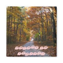 HNF Autumn Lane, AUTUMN IN INDIANA magnets
