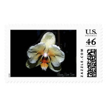 HNY15 postage by REDINARD HNY15 postage