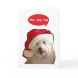 Ho Ho Ho Coton Dog Christmas Card