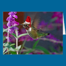 Ho Ho Ho Hummingbird cards