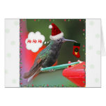 Ho Ho Ho Hummingbird Greeting Cards