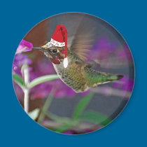 Ho Ho Ho Hummingbird magnets