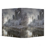 Hoarfrost along a slough at the Kelly Island binders