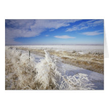 Hoarfrost coats tumbleweed and fenceline near card
