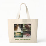 Hobbes aka Stinky the Cat bags