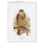 Hobby cards