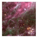 Hodge 301, Tarantula Nebula posters by beverlytazangel Hodge 301, Tarantula Nebula posters