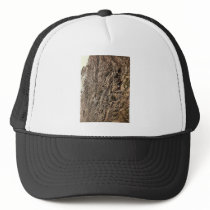 Hoellenthal (i.e., H&ouml;llental), Devil's Bathro Mesh Hat